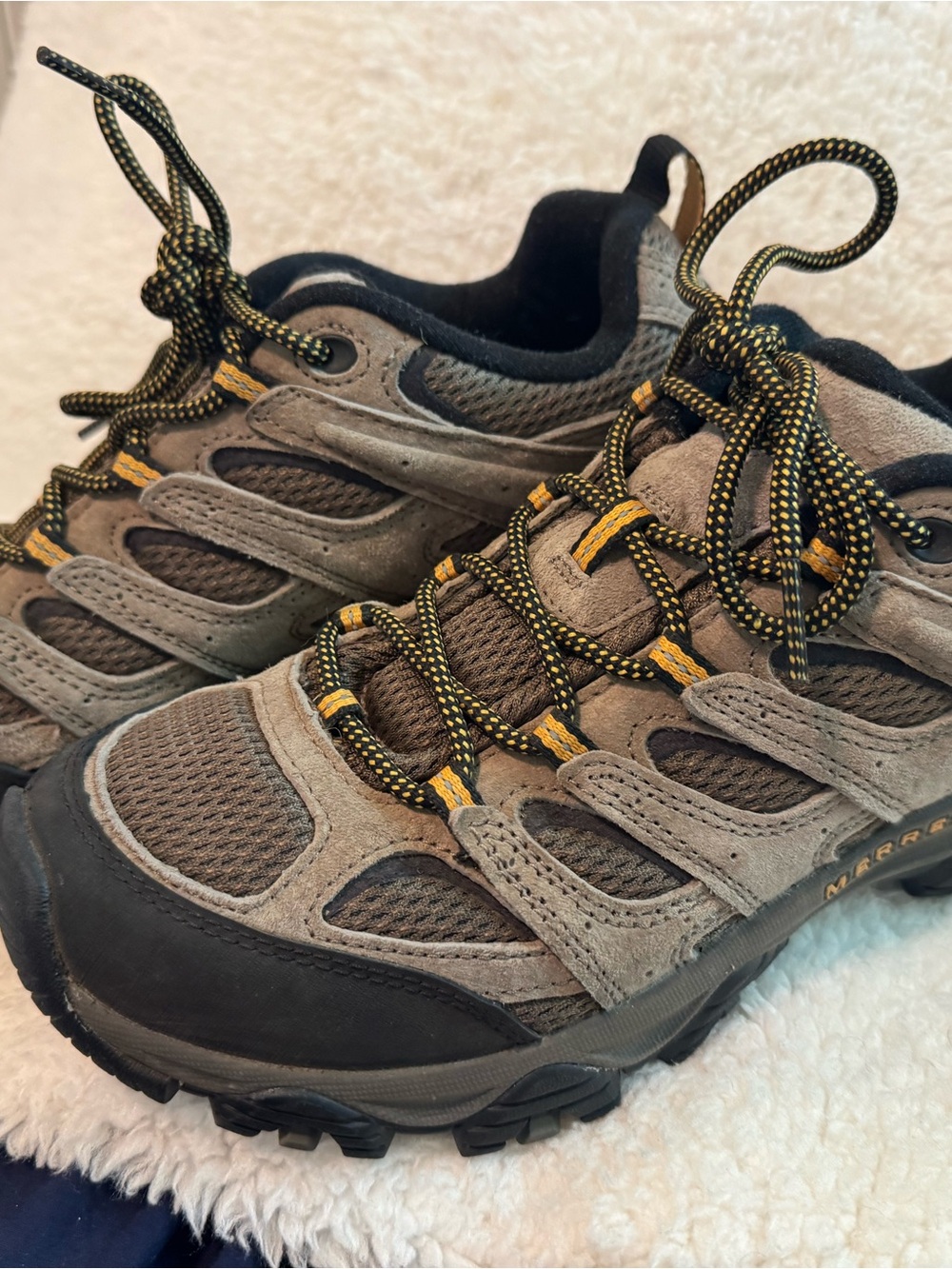 Merrill Moab Hiking Shoes in Walnut